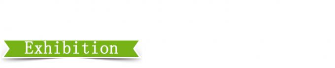 25T 높은 제어 정확성 판  vulkanising 프레스 4