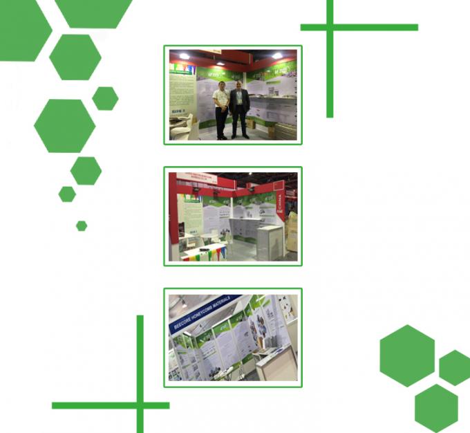 25T 높은 제어 정확성 판  vulkanising 프레스 5