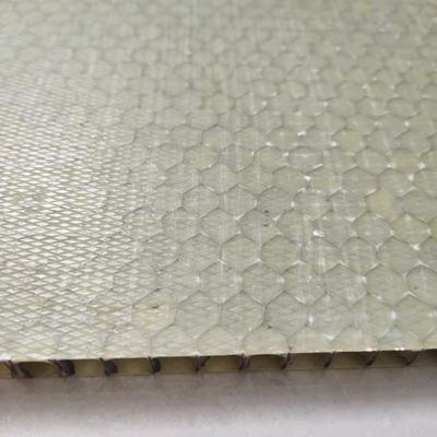 가벼운 FRP 꿀집 샌드위치 패널 1000x2000mm